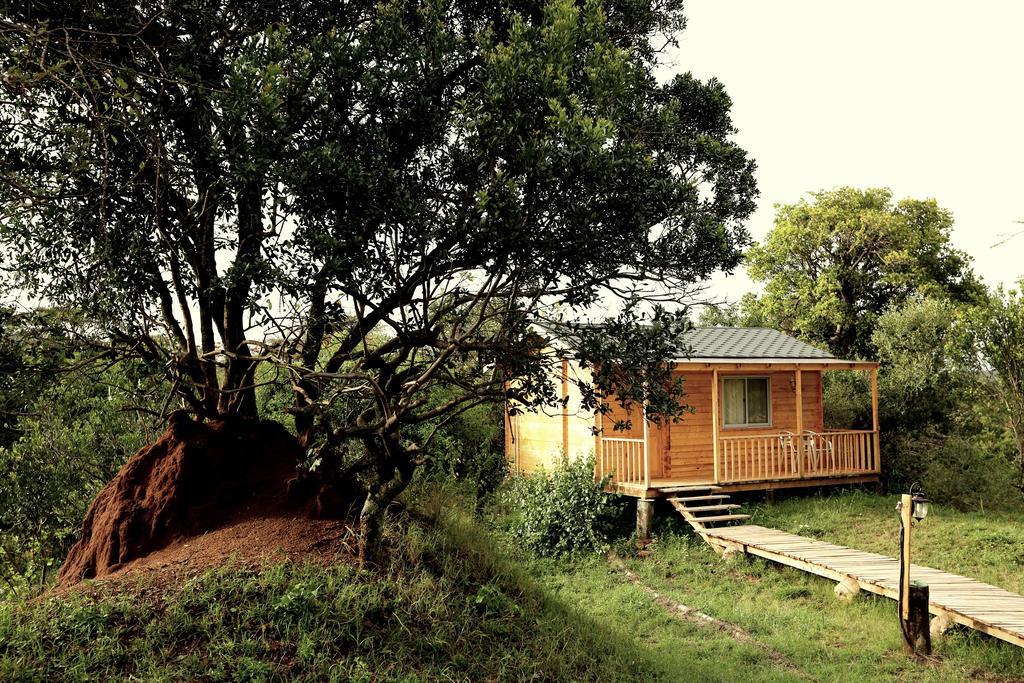 Jambo Mara Safari Lodge Ololaimutiek Værelse billede