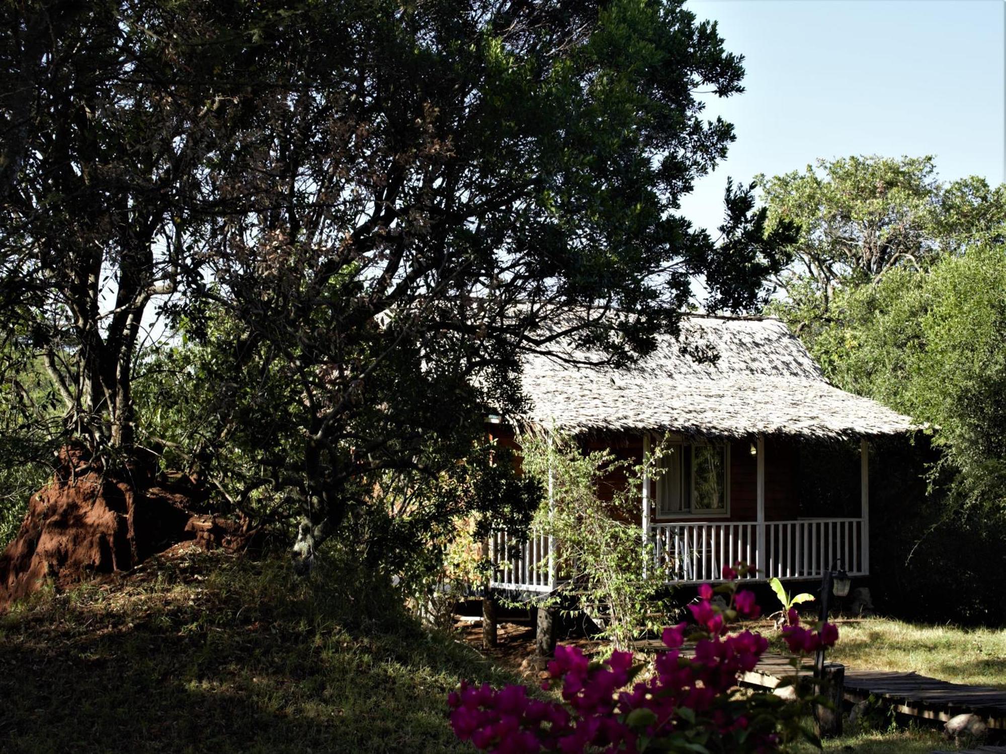 Jambo Mara Safari Lodge Ololaimutiek Eksteriør billede