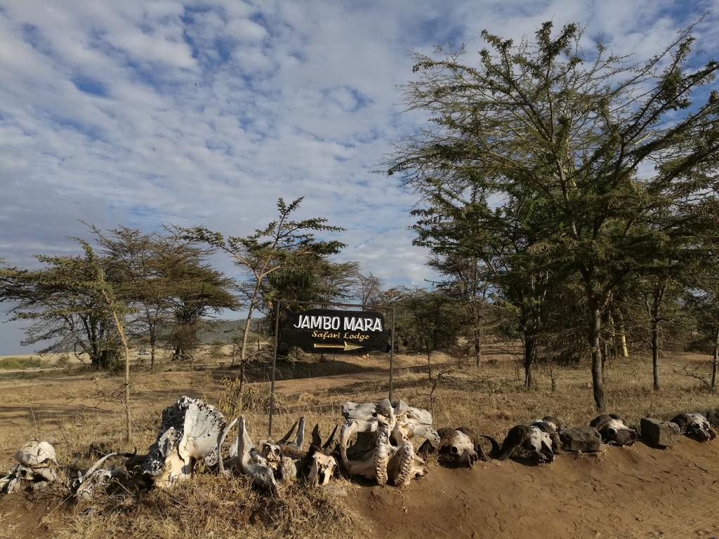 Jambo Mara Safari Lodge Ololaimutiek Eksteriør billede