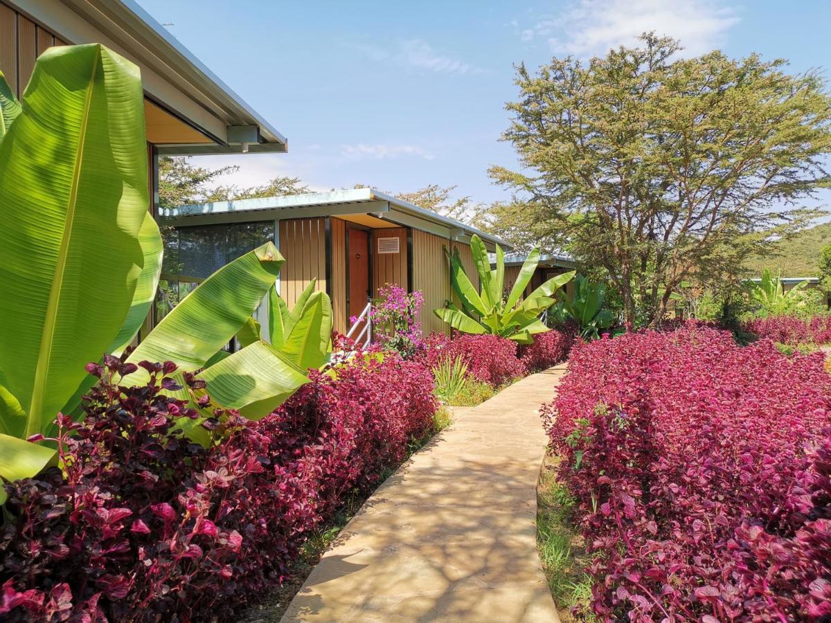 Jambo Mara Safari Lodge Ololaimutiek Eksteriør billede