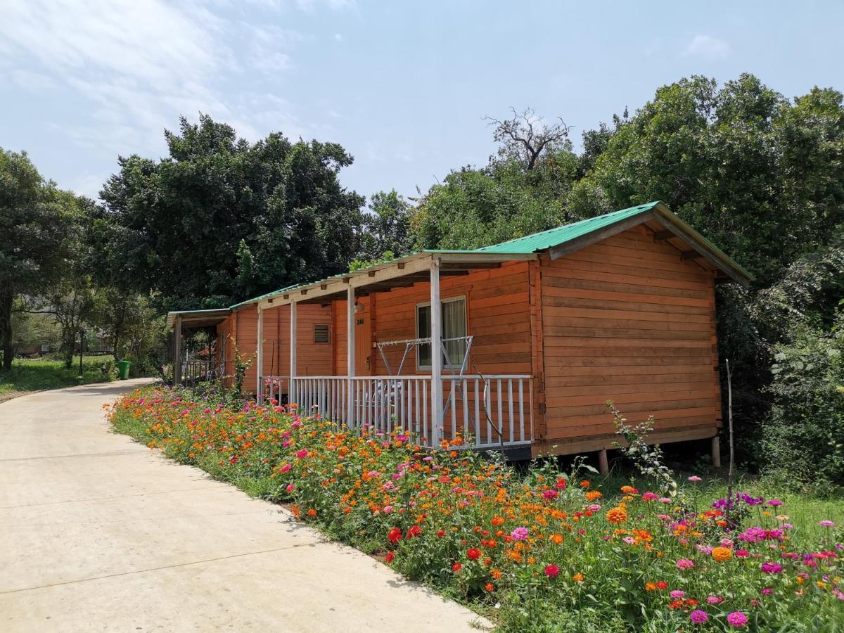 Jambo Mara Safari Lodge Ololaimutiek Eksteriør billede